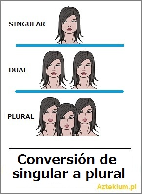 conversion_de_singular_a_plural.jpg