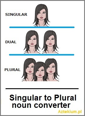 singular_plular.jpg