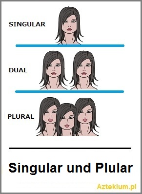 singular_und_plular.jpg